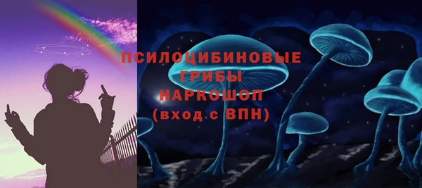 ГАЛЛЮЦИНОГЕННЫЕ ГРИБЫ Ладушкин