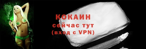 ГАЛЛЮЦИНОГЕННЫЕ ГРИБЫ Ладушкин