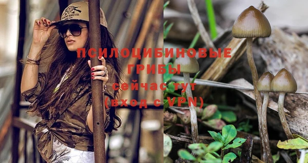 прущая мука Лихославль