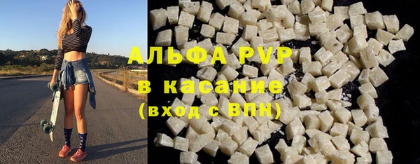гидра Шали