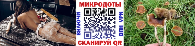 Псилоцибиновые грибы Cubensis  Андреаполь 